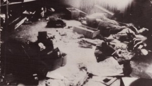 gruntova030120251108.jpg